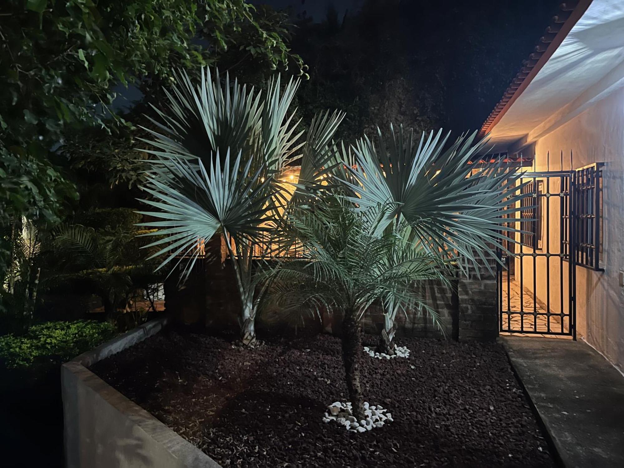 Villa Palmier - Comfort Quiet Air Conditioned Terrace Puerto Vallarta Exterior photo