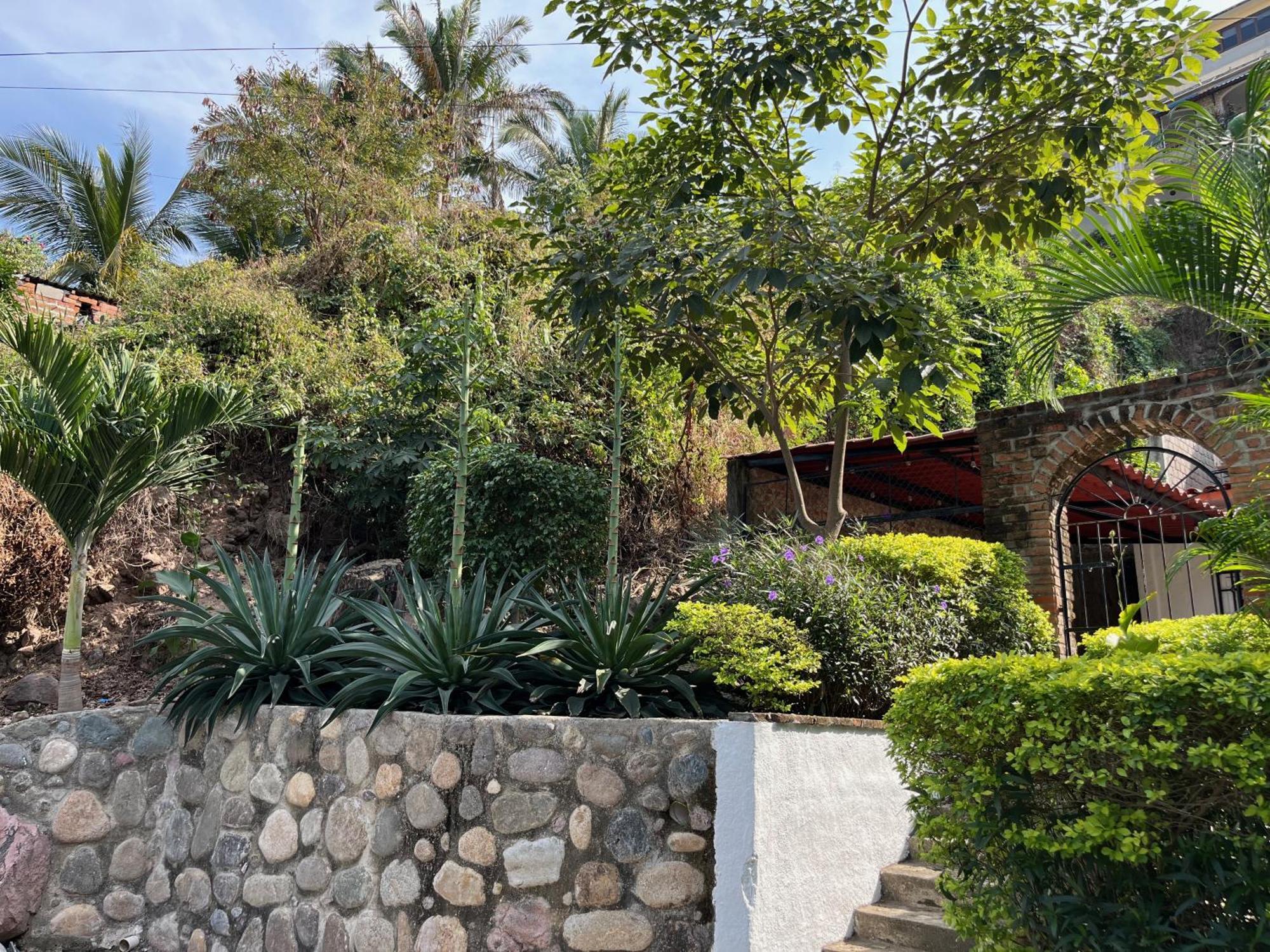 Villa Palmier - Comfort Quiet Air Conditioned Terrace Puerto Vallarta Exterior photo