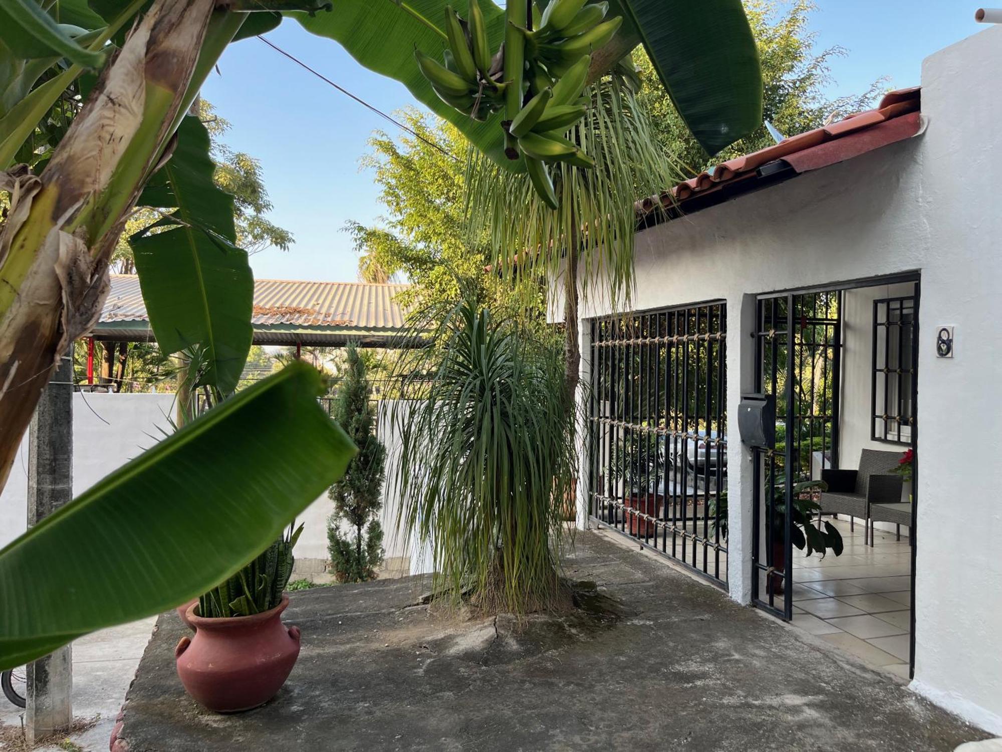 Villa Palmier - Comfort Quiet Air Conditioned Terrace Puerto Vallarta Exterior photo