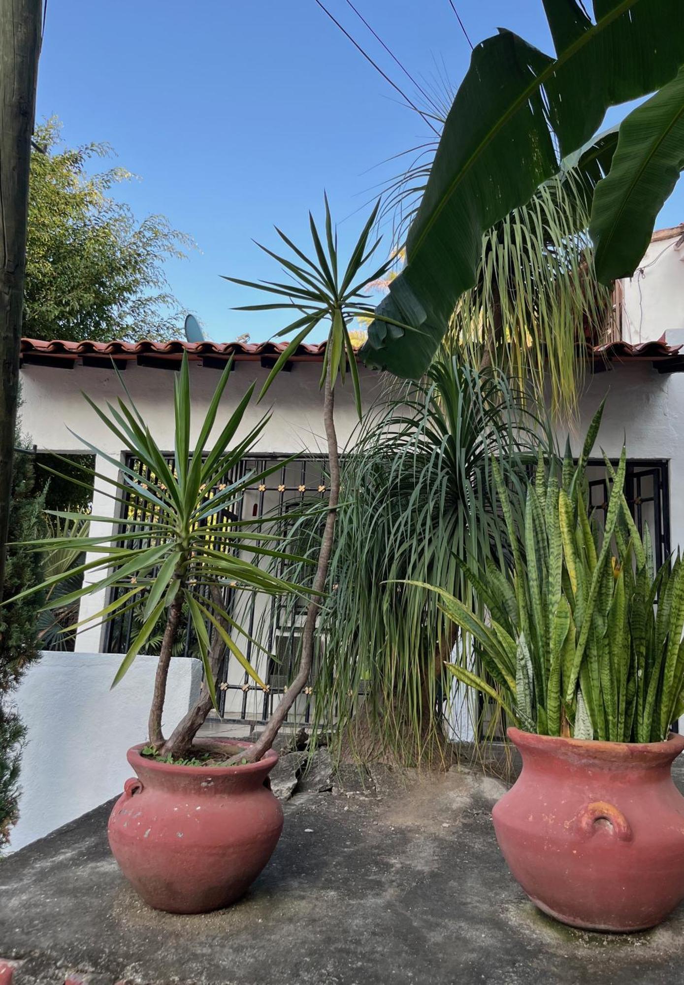 Villa Palmier - Comfort Quiet Air Conditioned Terrace Puerto Vallarta Exterior photo